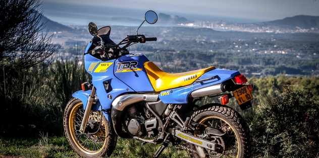 Yamaha TDR 250 : Hybride surexcitée